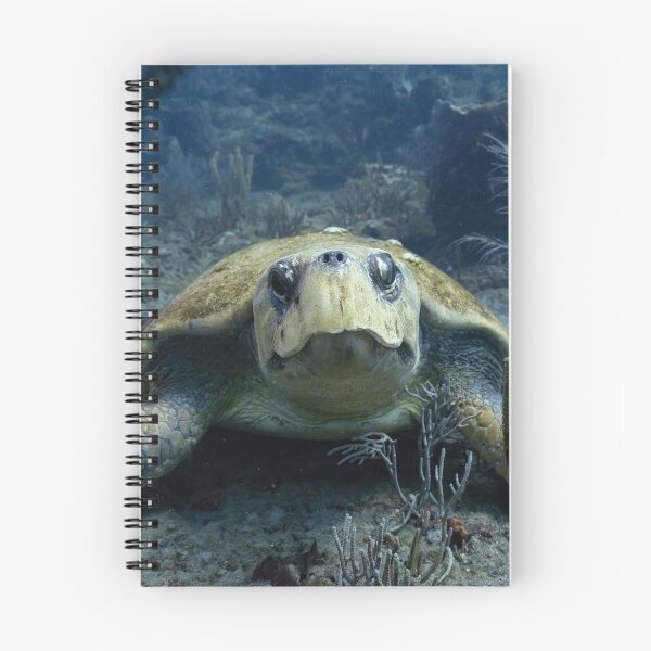 Item preview, Sleepy Loggerhead Turtle  designed and sold by Ronald Missick.