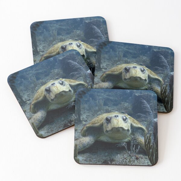 Item preview, Sleepy Loggerhead Turtle  designed and sold by Ronald Missick.