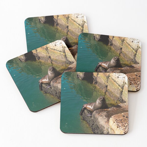 Item preview, Seal in the harbor - Chillin' designed and sold by Marguerite Faure.