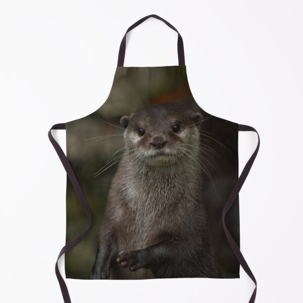 Item preview, Curious Otter designed and sold by rawshutterbug.