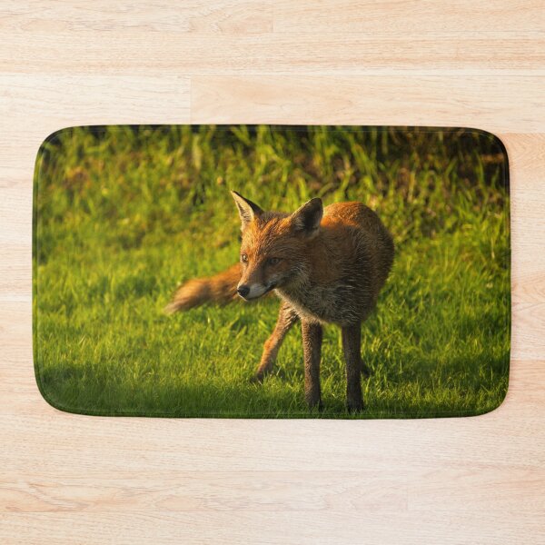 Item preview, A Wet Wild Red Fox designed and sold by rawshutterbug.