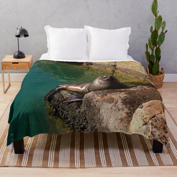 Item preview, Seal in the harbor - Chillin' designed and sold by Marguerite Faure.