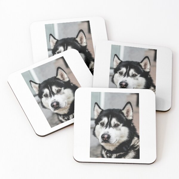 Item preview, party t shir “Big dog”  designed and sold by Bhaskaran Parakkottil.