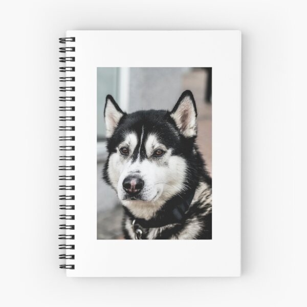 Item preview, party t shir “Big dog”  designed and sold by Bhaskaran Parakkottil.