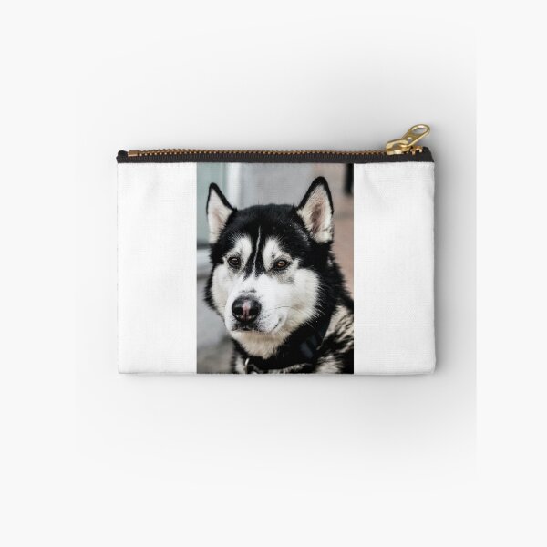 Item preview, party t shir “Big dog”  designed and sold by Bhaskaran Parakkottil.
