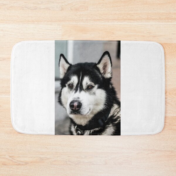 Item preview, party t shir “Big dog”  designed and sold by Bhaskaran Parakkottil.
