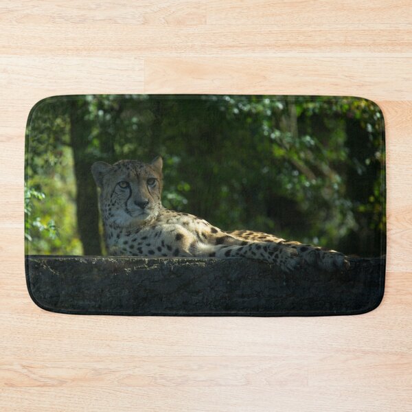Item preview, Resting Cheetah designed and sold by rawshutterbug.