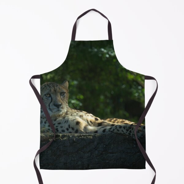 Item preview, Resting Cheetah designed and sold by rawshutterbug.