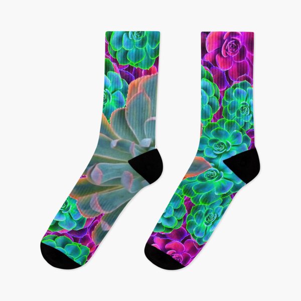 Item preview, ABSTRACT ASSORTED COLORS SUCCULENTS GARDEN ART designed and sold by sharlesart.
