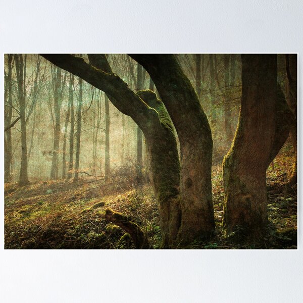 Item preview, Mystic Woodland designed and sold by NortheastOne.