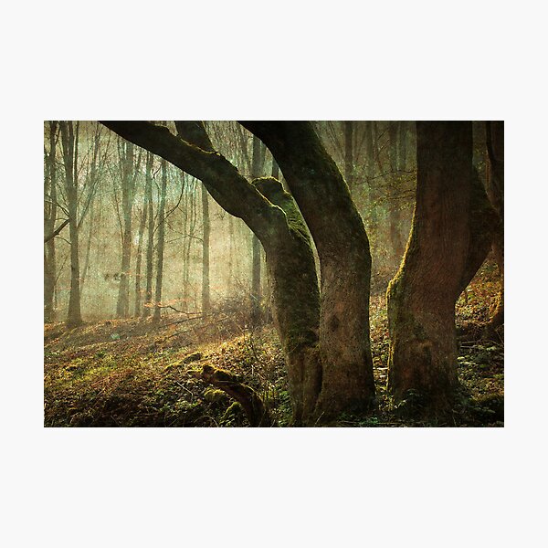Item preview, Mystic Woodland designed and sold by NortheastOne.