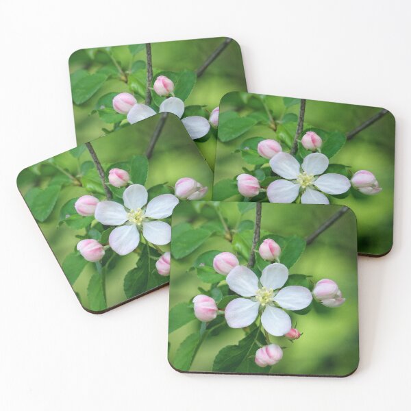 Item preview, Spring Blossoms designed and sold by zuluspice.