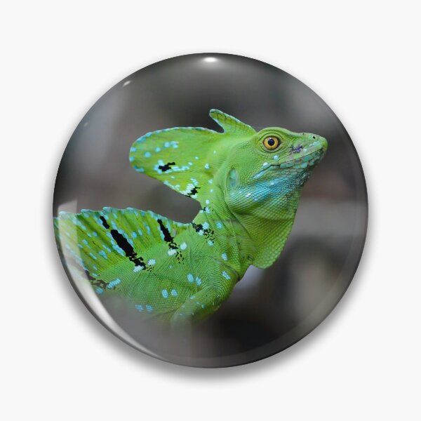 Artikelvorschau, Basilisk entworfen und verkauft von ReptileAmphibia.