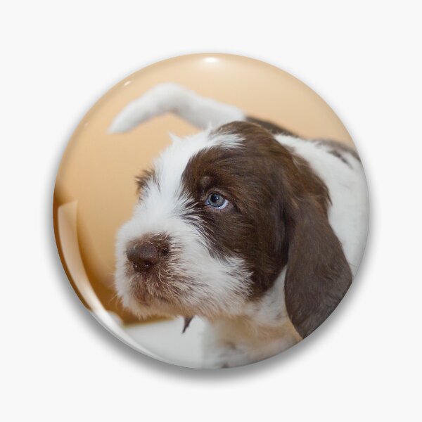 Item preview, Blue eyed boy Spinone by heidiannemorris designed and sold by FOLK ART FUSION by heidiannemorris.