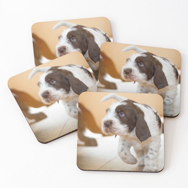 Item preview, Blue eyed boy Spinone by heidiannemorris designed and sold by FOLK ART FUSION by heidiannemorris.