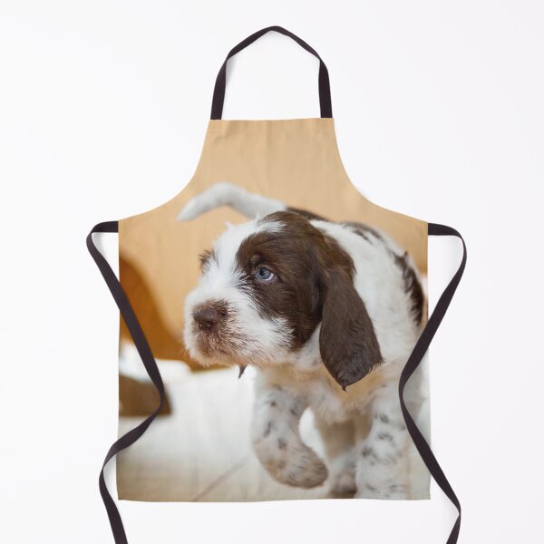 Item preview, Blue eyed boy Spinone by heidiannemorris designed and sold by FOLK ART FUSION by heidiannemorris.