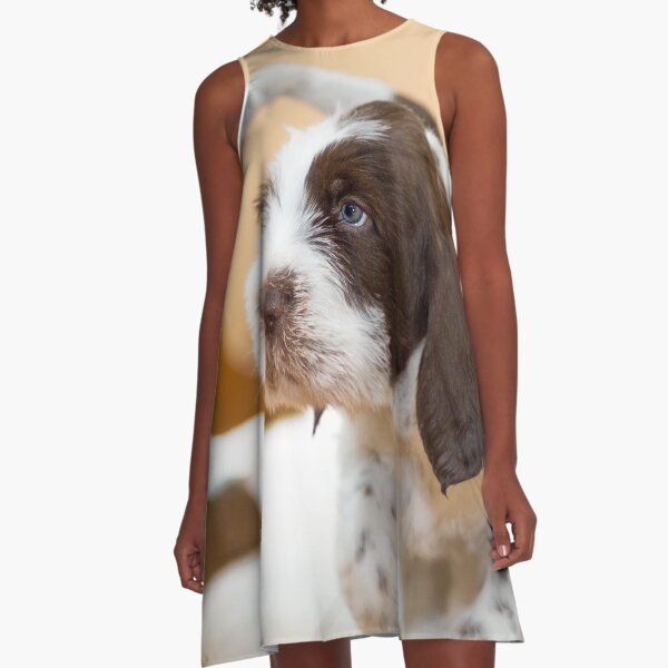 Blue eyed boy Spinone A-Line Dress