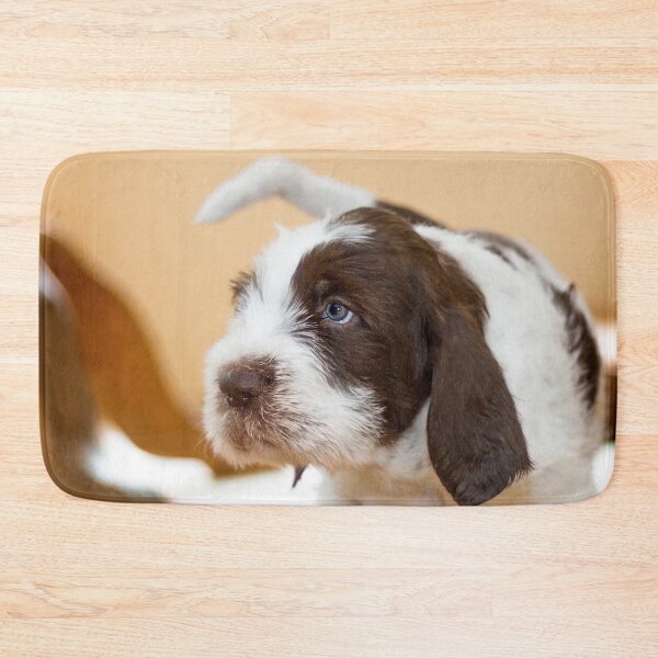 Item preview, Blue eyed boy Spinone by heidiannemorris designed and sold by FOLK ART FUSION by heidiannemorris.