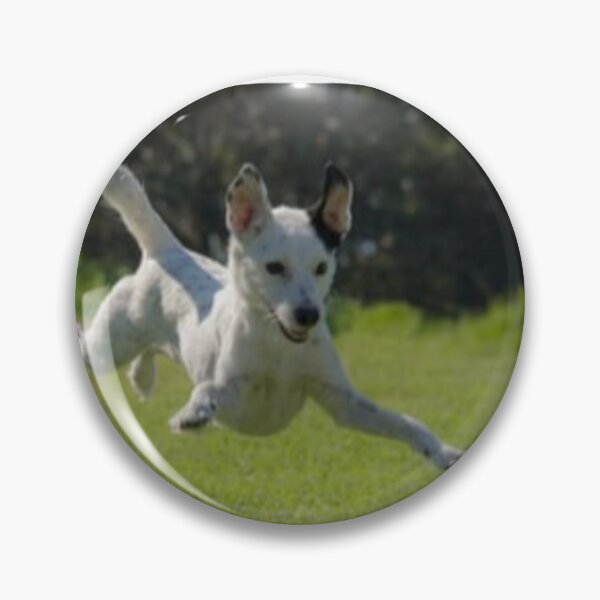 Item preview, party t shirt “Jumping  dog” designed and sold by Bhaskaran Parakkottil.