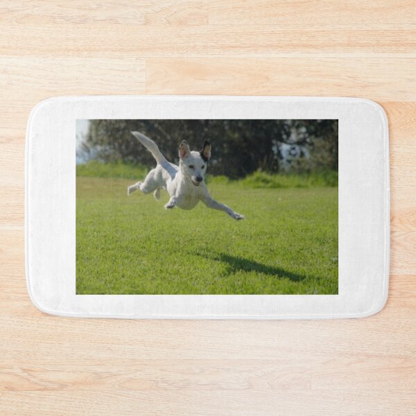 Item preview, party t shirt “Jumping  dog” designed and sold by Bhaskaran Parakkottil.