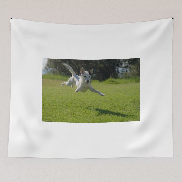 Item preview, party t shirt “Jumping  dog” designed and sold by Bhaskaran Parakkottil.