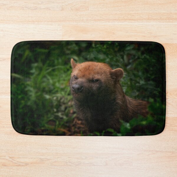 Item preview, Bush Dog designed and sold by rawshutterbug.