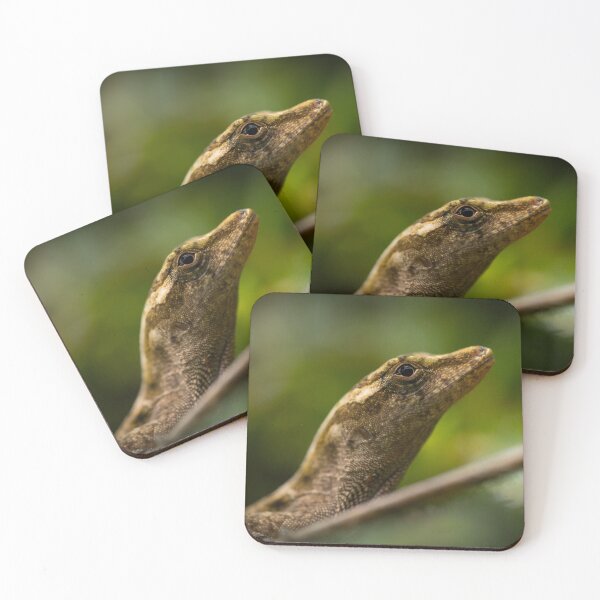 Item preview, Anole designed and sold by ReptileAmphibia.