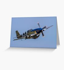 P-51C Mustang 43-25147 NL487FS Greeting Card
