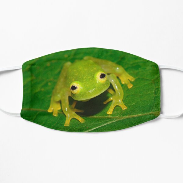 Glass Frog Flat Mask