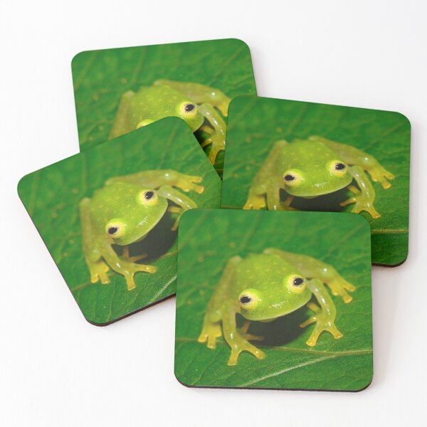 Item preview, Glass Frog designed and sold by ReptileAmphibia.