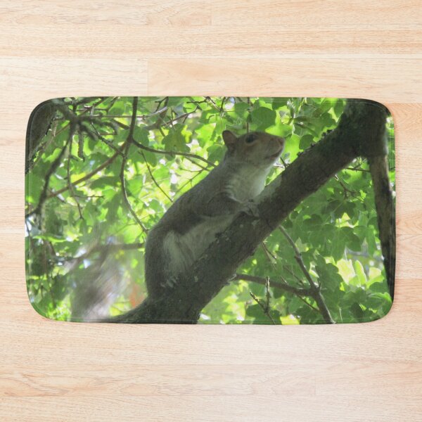 Item preview, Grey squirrel in the tree canopy designed and sold by joshuarainbird.