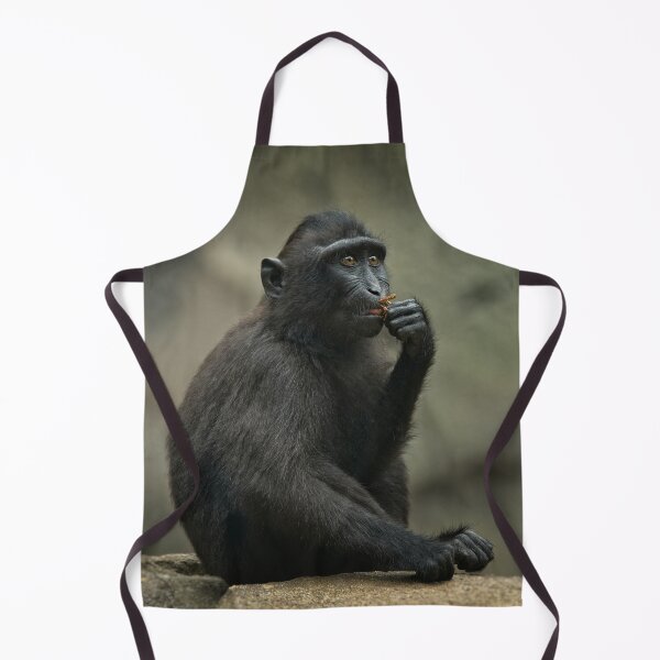 Item preview, Sulawesi Crested Macaque Youngster designed and sold by rawshutterbug.