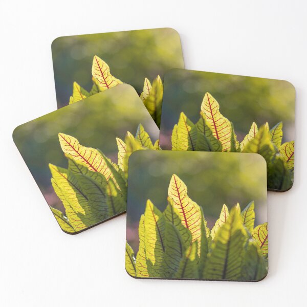 Item preview, Green leaves close-up with backlighting designed and sold by macroviewpoint.