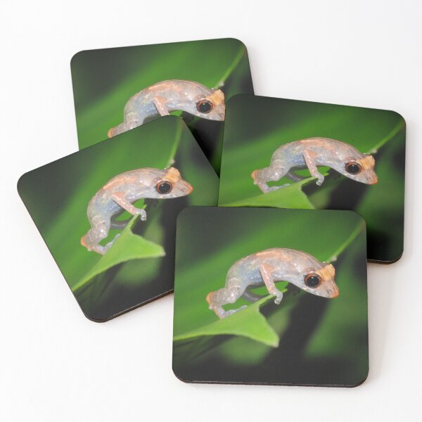 Item preview, Tink Frog designed and sold by ReptileAmphibia.
