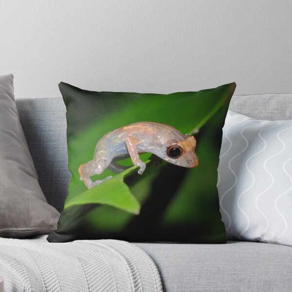 Item preview, Tink Frog designed and sold by ReptileAmphibia.