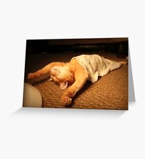Sleeping Cat Greeting Card
