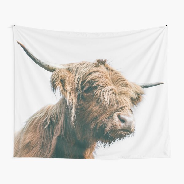 Majestic Highland cow portrait Tapestry