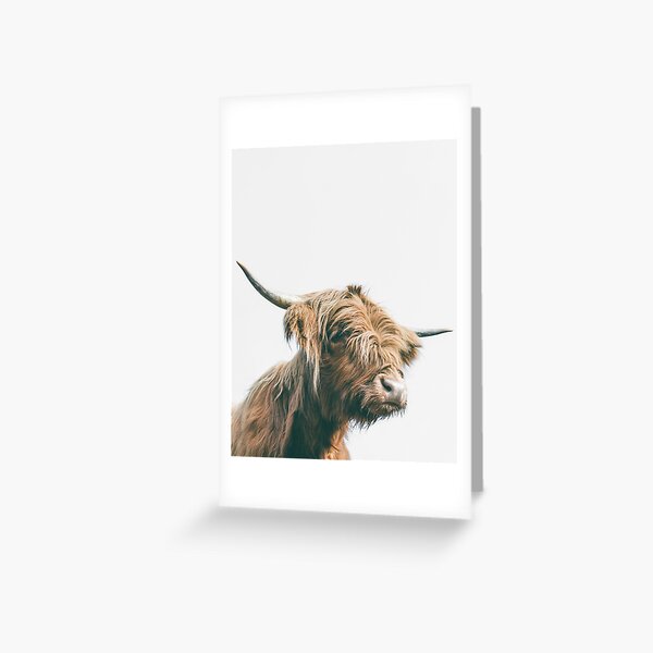 Item preview, Majestic Highland cow portrait designed and sold by Patrik Lovrin.