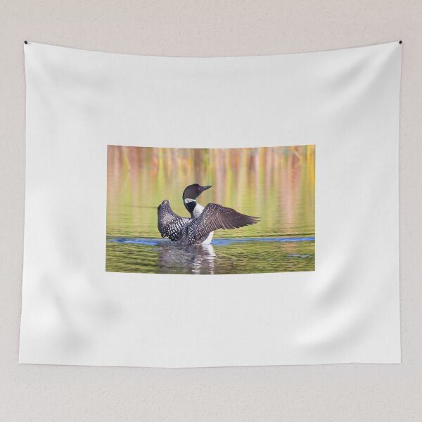 Item preview, Common loon wing stretch designed and sold by James Cumming.