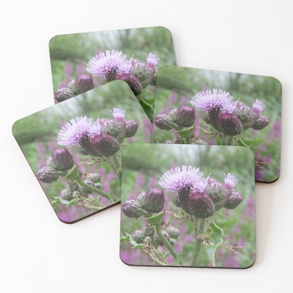 Item preview, Thistles. designed and sold by joshuarainbird.