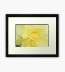 Yellow Petals Framed Print