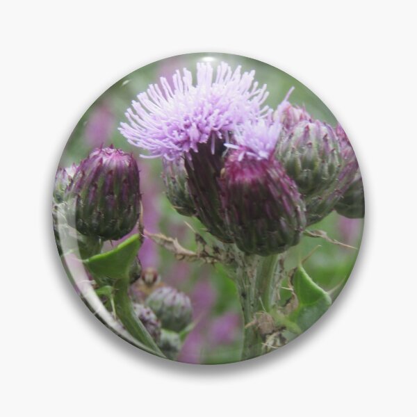 Item preview, Thistles. designed and sold by joshuarainbird.