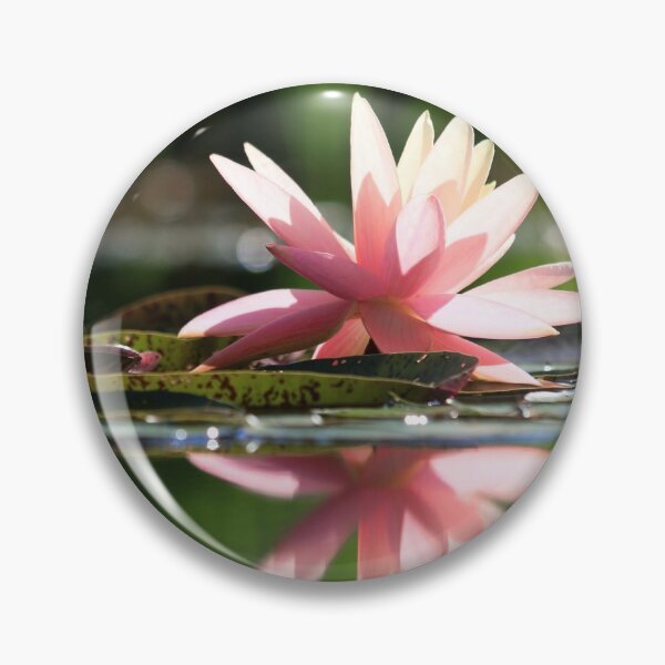 Item preview, Soft Pink Water Lily designed and sold by CarolRMontoya.