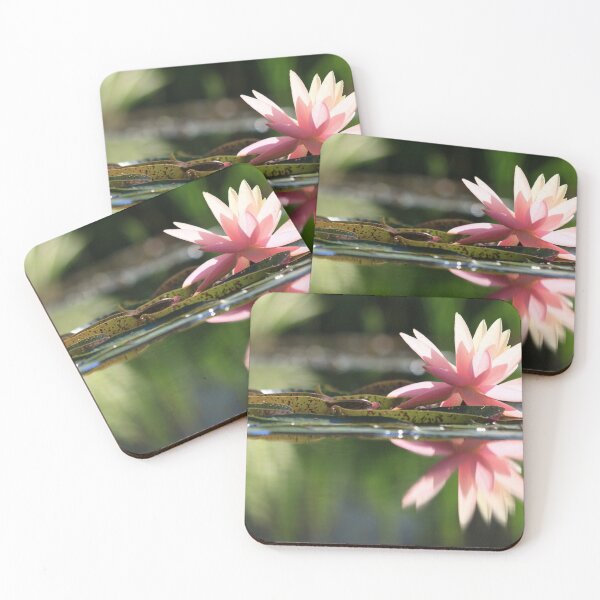 Item preview, Soft Pink Water Lily designed and sold by CarolRMontoya.