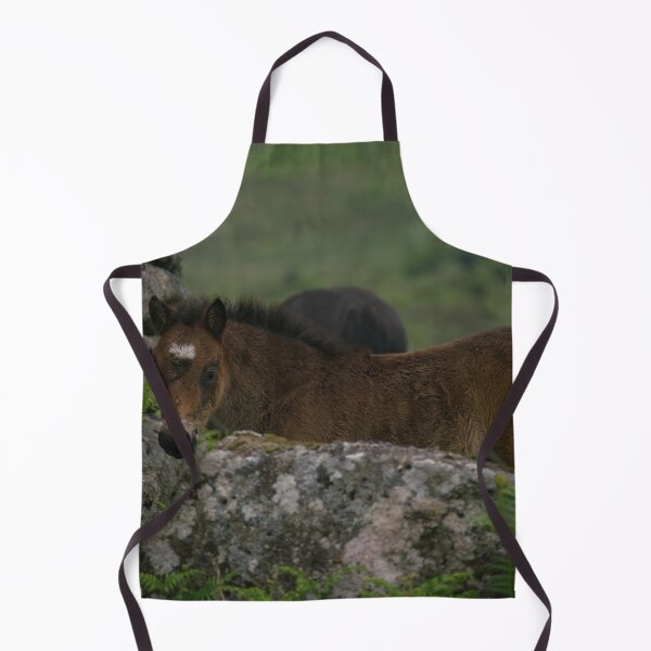 Item preview, Dartmoor Foal designed and sold by rawshutterbug.