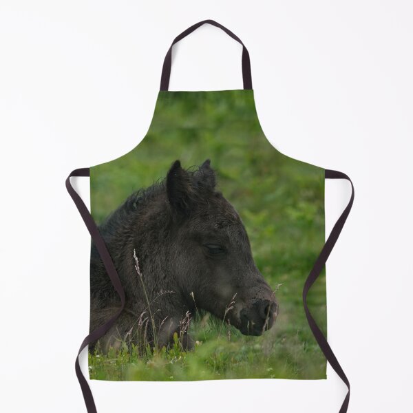 Item preview, Sleepy Dartmoor Foal designed and sold by rawshutterbug.