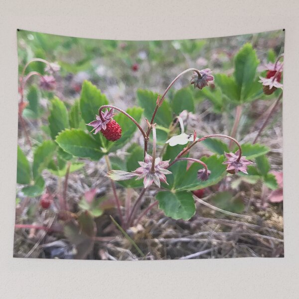 Item preview, Wild strawberries designed and sold by vieno.