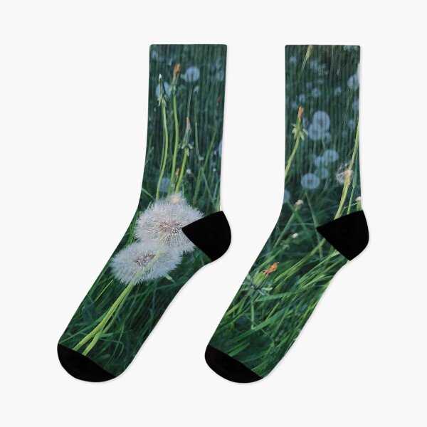 Item preview, Bright dandelions designed and sold by vieno.