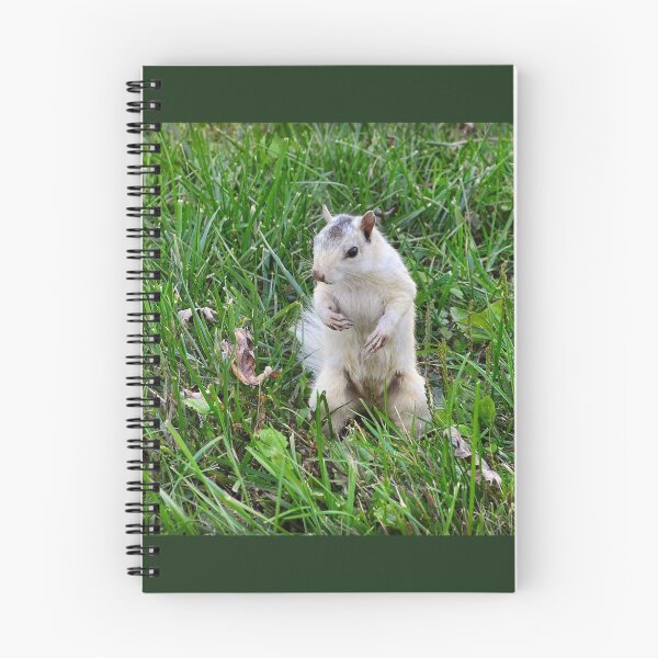 Item preview, On Guard designed and sold by Karen Peron.