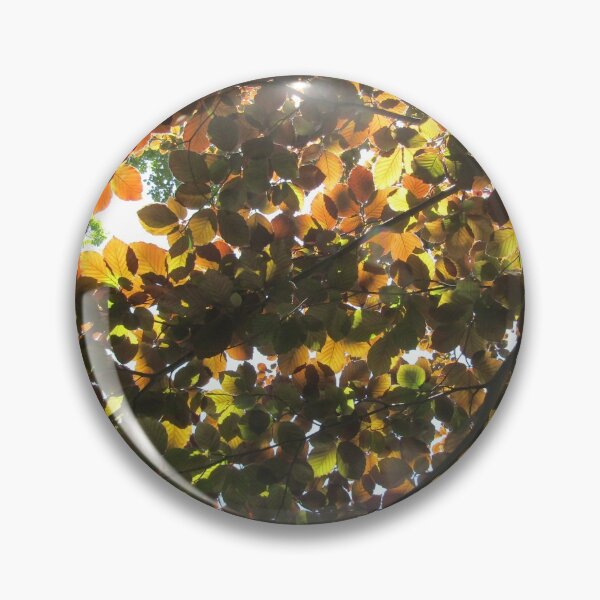 Item preview, Copper beech. designed and sold by joshuarainbird.